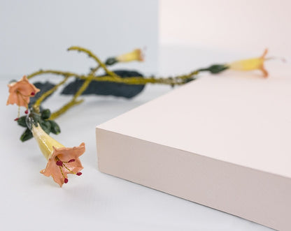 Tocado Tabaquera  multicolor